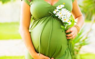 Šance na otěhotnění po menopauze