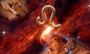 Caracteristicile Leului și Leoaicei și cine este cel mai potrivit în funcție de horoscop?